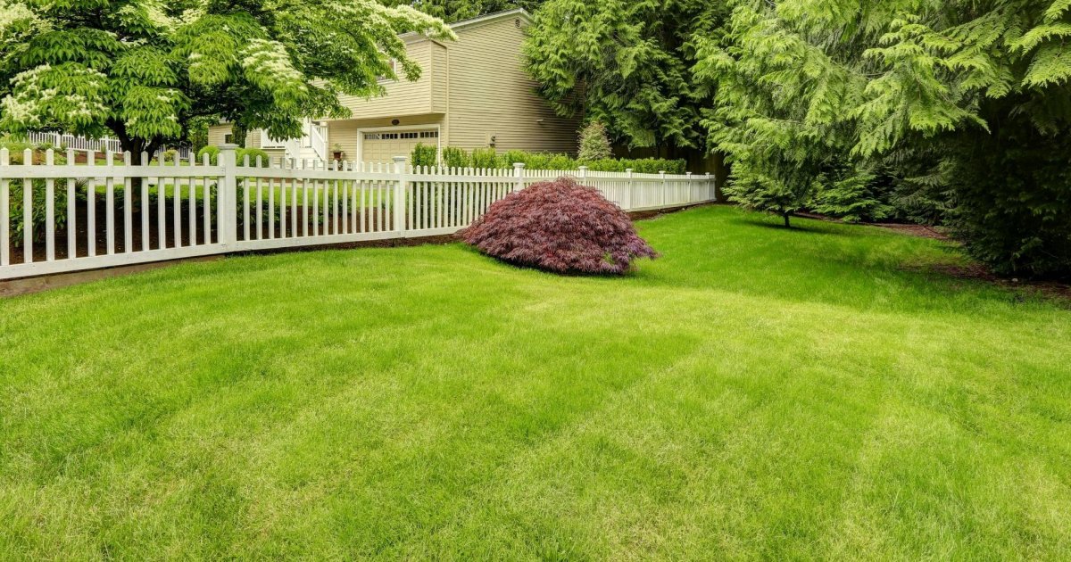 Does a Fenced Backyard Add Value to a House? West & Woodall Real Estate